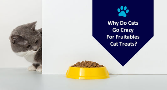 Why Do Cats Go Crazy For Fruitables Cat Treats? - Kwik Pets