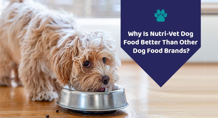 Why Is Nutri-Vet Dog Food Better Than Other Dog Food Brands? - Kwik Pets