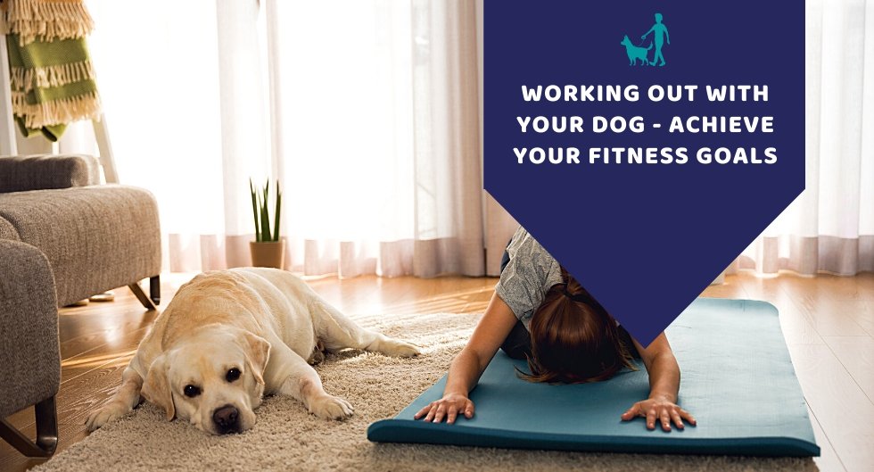 Working Out With Your Dog: Achieve Your Fitness Goals