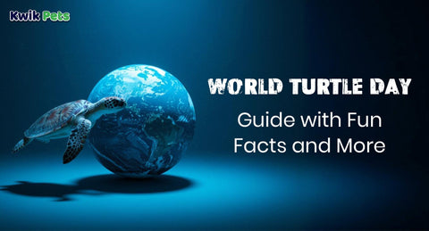 World Turtle Day Guide: Essentials, Fun Facts & More