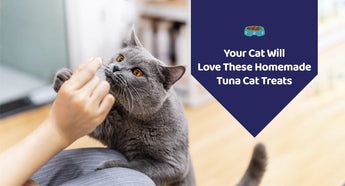 Your Cat Will Love These Homemade Tuna Cat Treats
