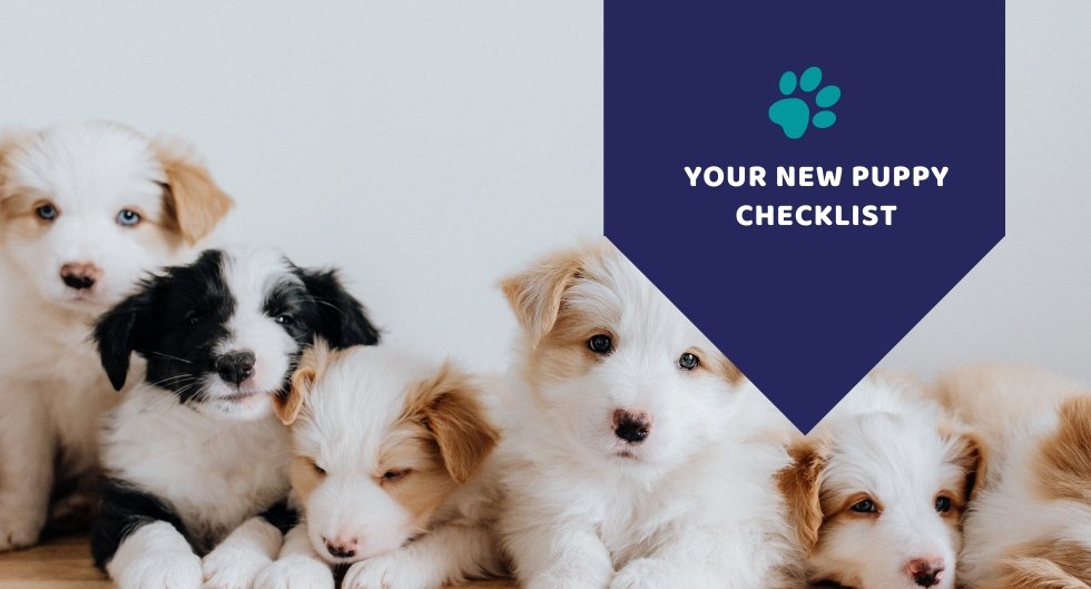 Your New Puppy Checklist - Kwik Pets