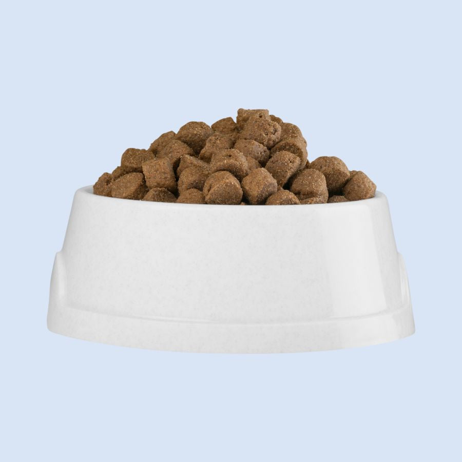 Premium Dog Food for Healthier, Happier Pets Kwik Pets