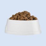 Premium Dog Food