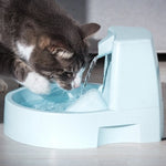 Cat Bowls & Feeders | Kwik Pets