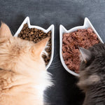 Cat Food | Kwik Pets