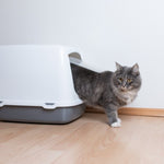 Cat Litter Boxes | Kwik Pets