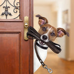 Collars, Harnesses & Leashes | Kwik Pets