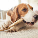 Dog Bones & Natural Chews | Kwik Pets