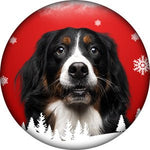 Dog Products - Kwik Pets