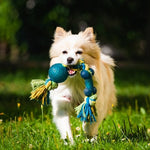 Dog Toys | Kwik Pets
