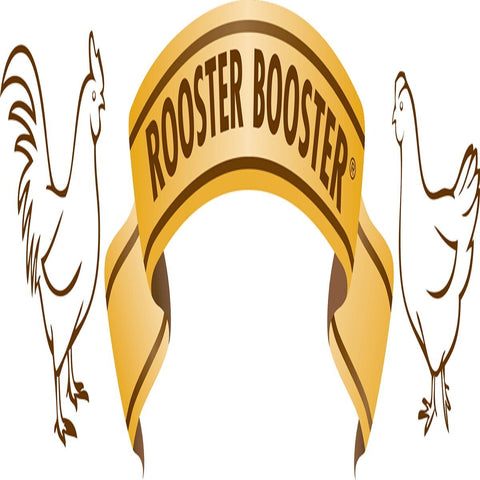 Rooster Booster