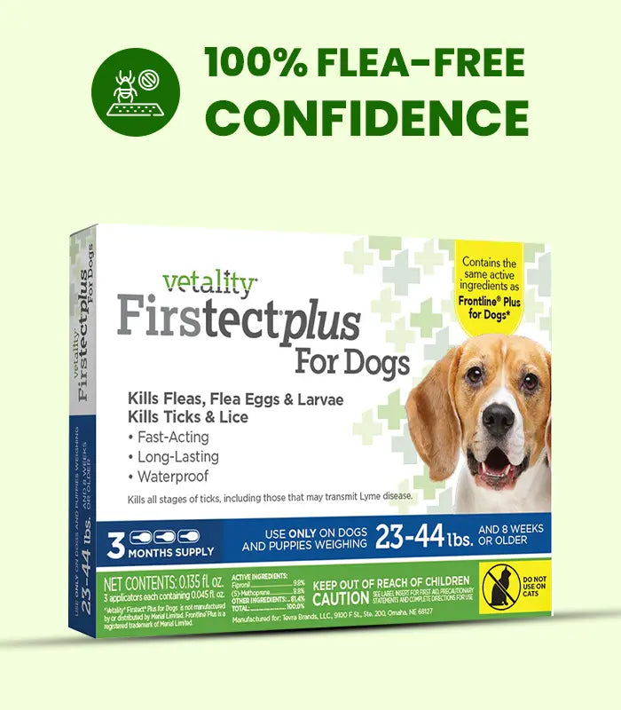 Dog Flea Tick Control