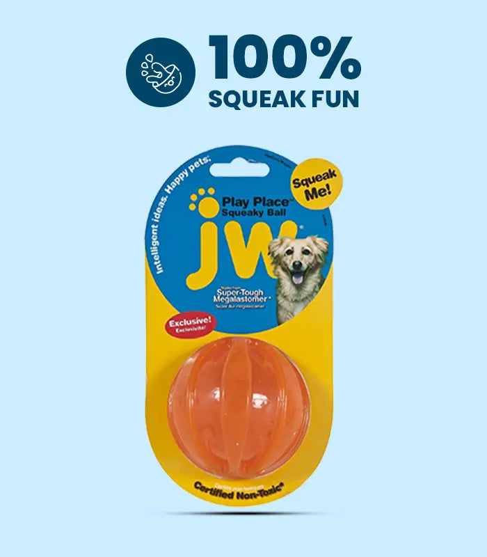 Dog Supplies