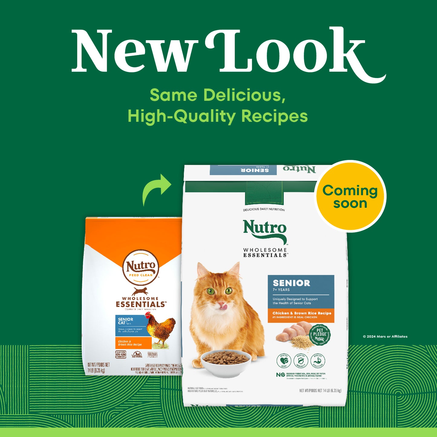 New Look of Nutro Wholesome Essentials Chicken & Brown Rice Recipe Senior Dry Cat Food 14-lb