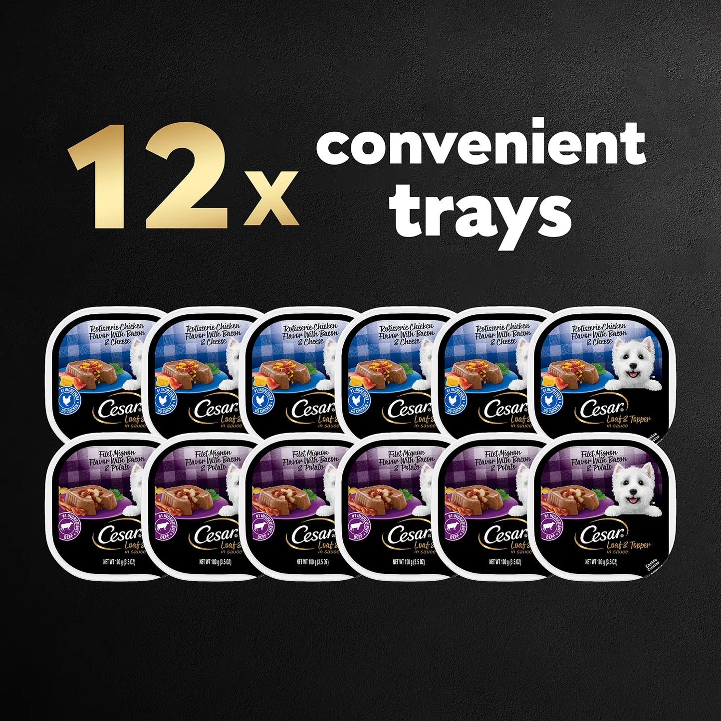 12 Count Cesar Loaf & Topper in Sauce Adult Wet Dog Food Variety Pack Rotisserie Chicken, Filet Mignon 12 Count 3.5-oz