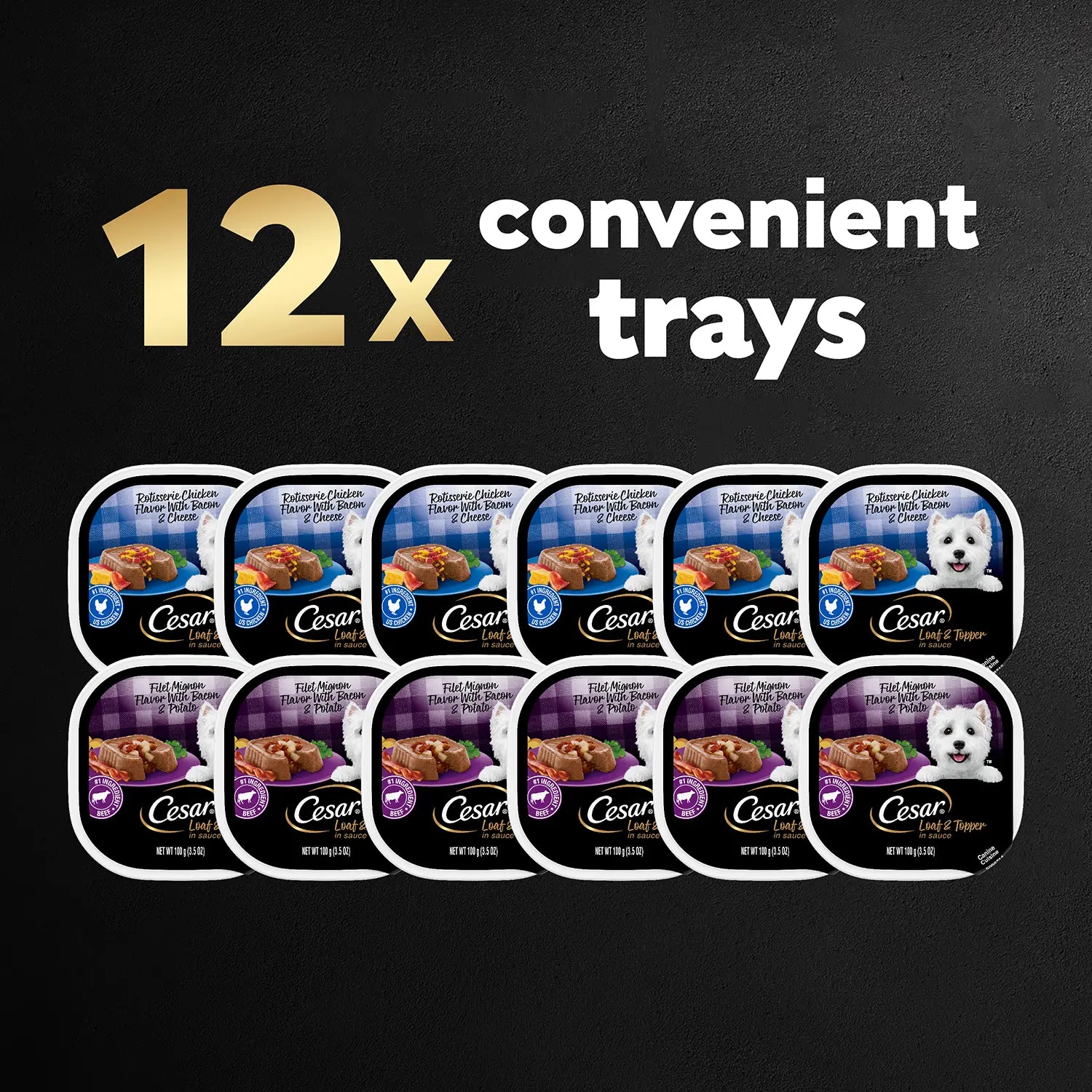 12 Count Cesar Loaf & Topper in Sauce Adult Wet Dog Food Variety Pack Rotisserie Chicken, Filet Mignon 12 Count 3.5-oz