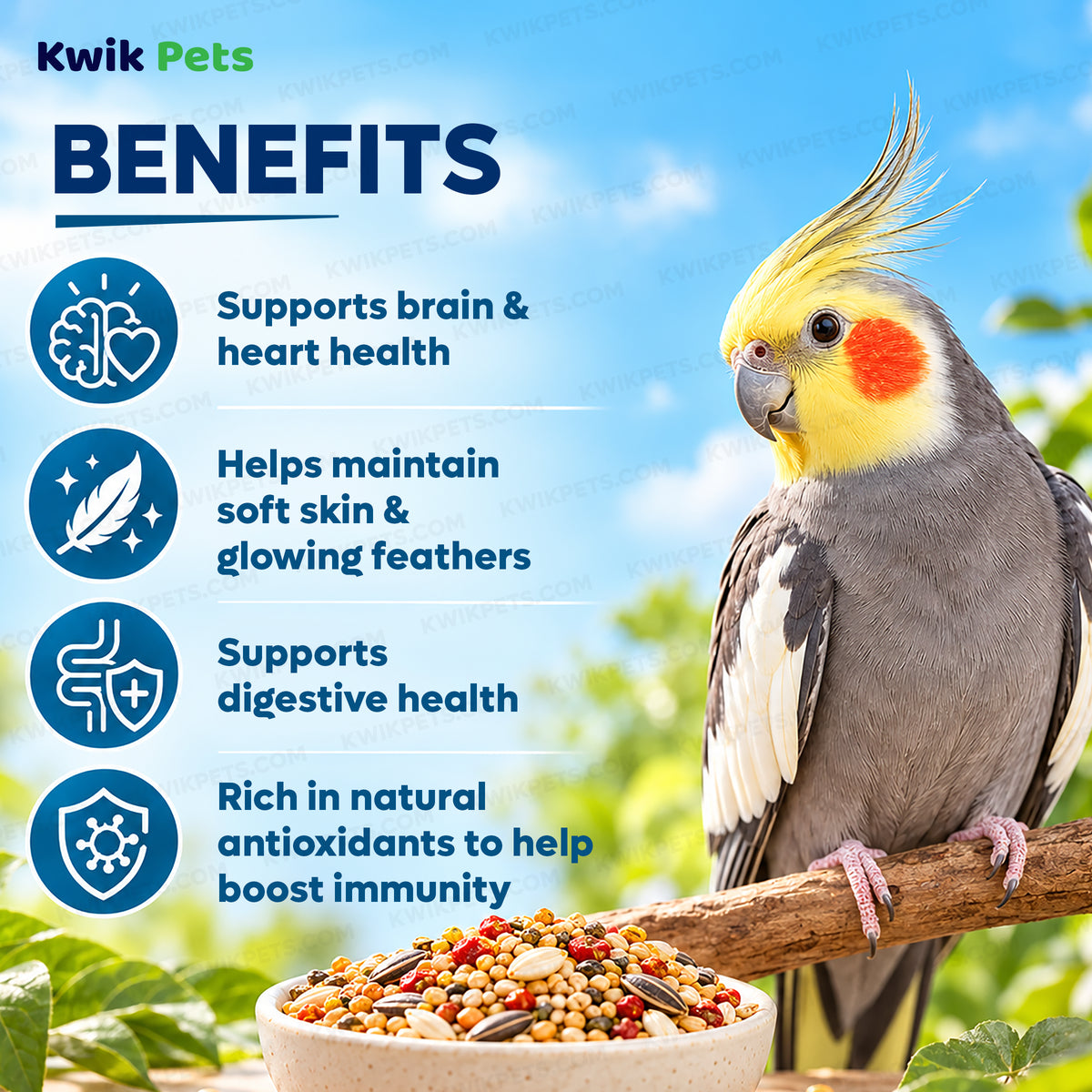 Benefits of Kaytee Forti-Diet Pro Health Cockatiel Food with Safflower 4-lb
