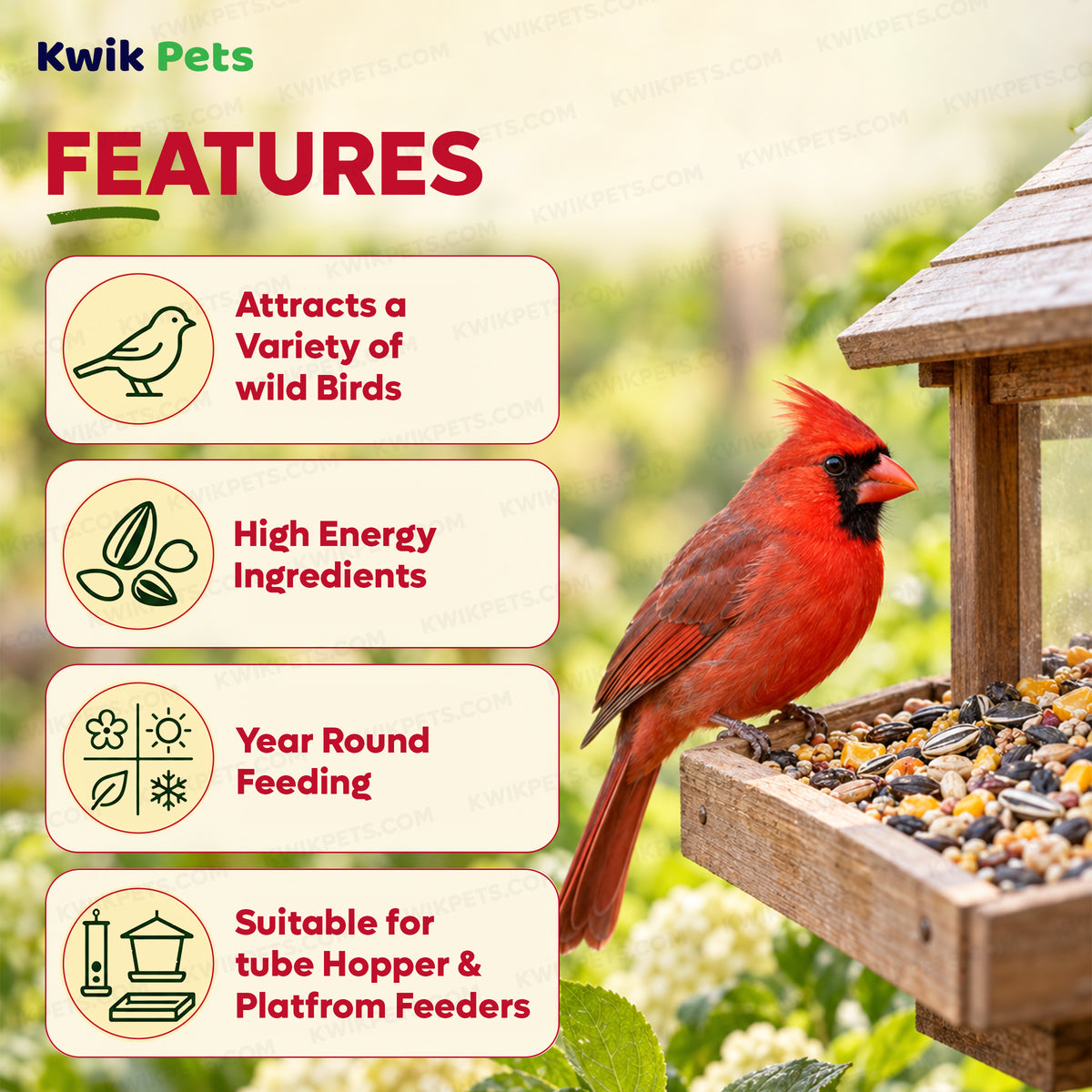 Features of Kaytee Basic Blend Wild Bird Food 5-lb
