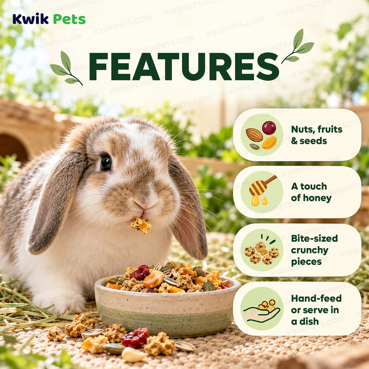 Features of Kaytee Healthy Bits Treat for Rabbits Guinea Pigs & Chinchillas 4.5-oz