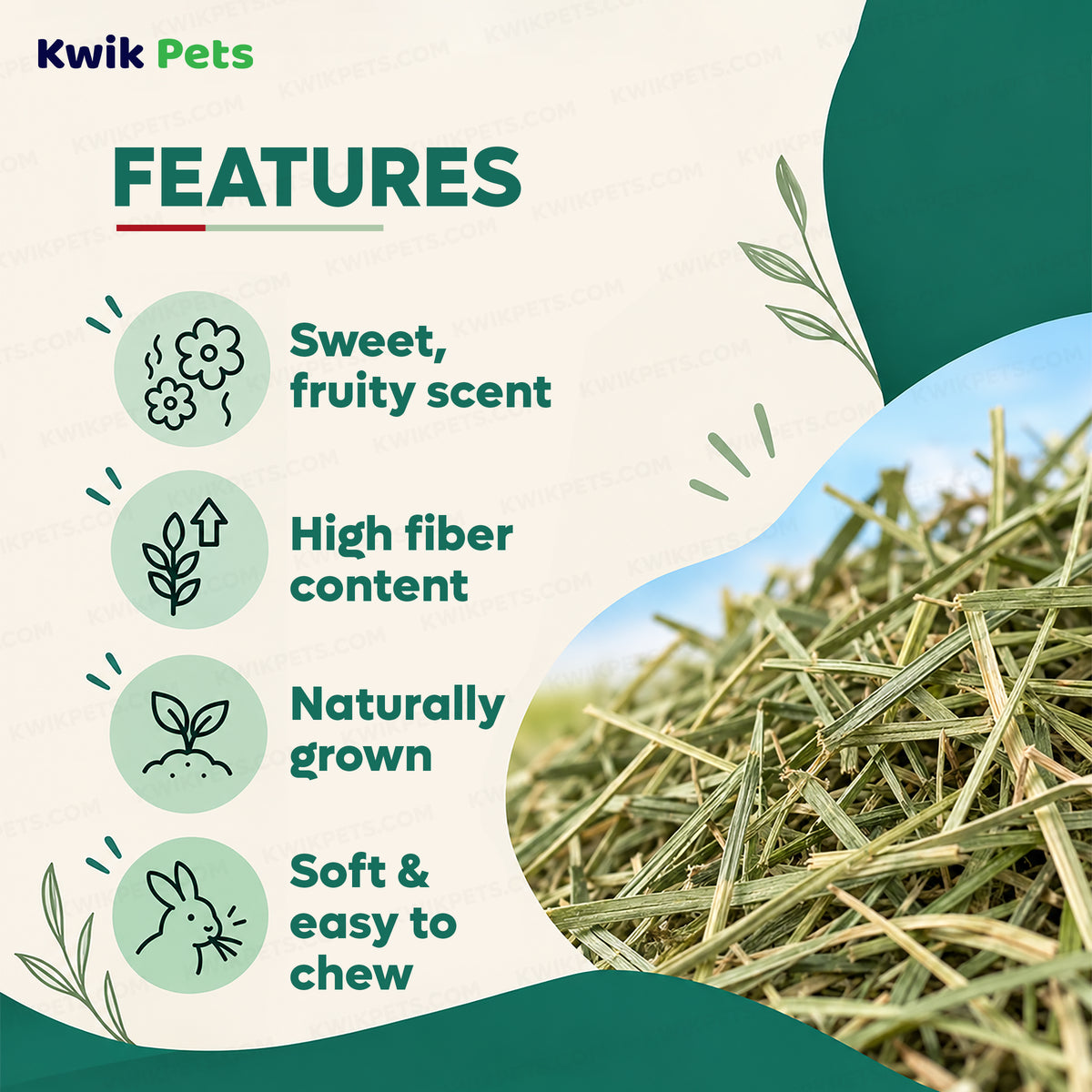 Features of Kaytee Orchard Grass Hay for Small Animals 24-oz