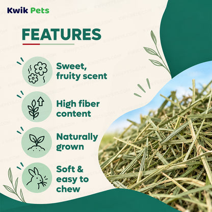 Features of Kaytee Orchard Grass Hay for Small Animals 24-oz