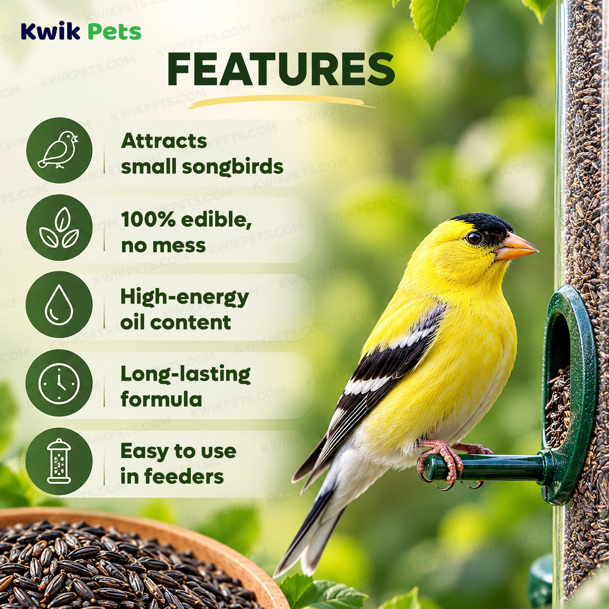 Featuers of Kaytee Nyjer Seed Wild Bird Food 8-lb