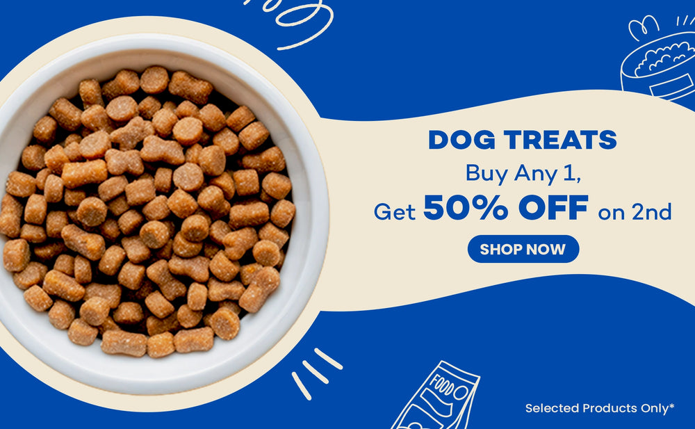 Kwik pets logo