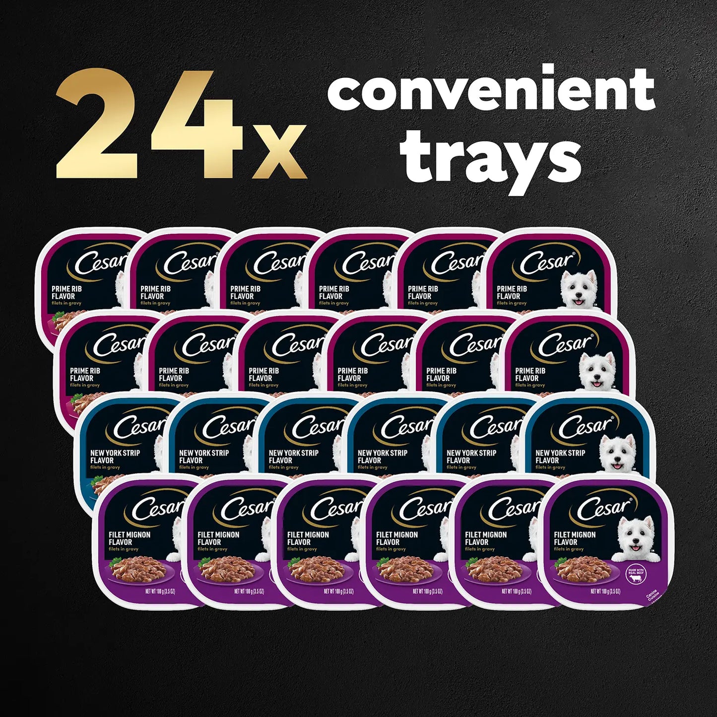 24 Count Cesar Filets in Gravy Adult Wet Dog Food Variety Pack Prime Rib, Filet Mignon, New York Strip 24 Count 3.5-oz