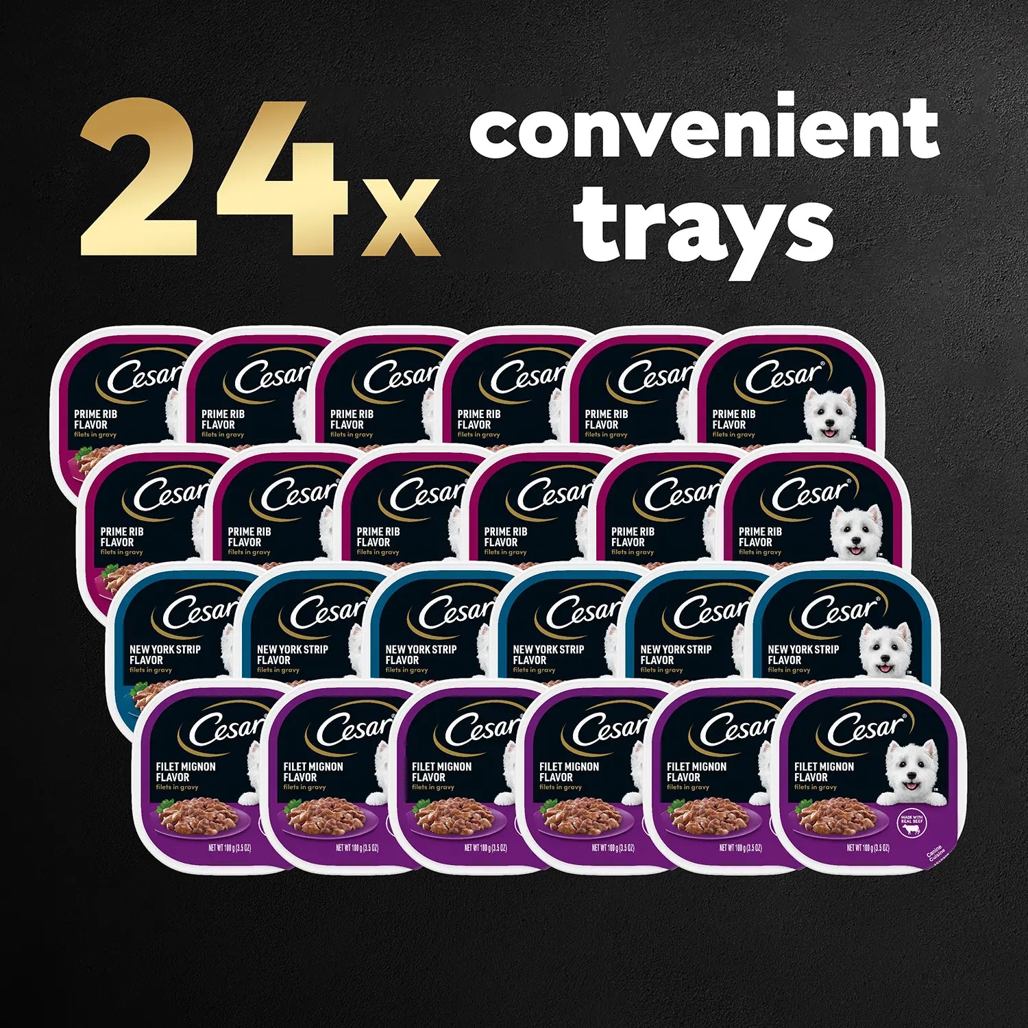 24 Count Cesar Filets in Gravy Adult Wet Dog Food Variety Pack Prime Rib, Filet Mignon, New York Strip 24 Count 3.5-oz