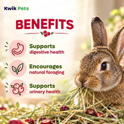 Benefits of Kaytee Timothy Hay Plus Cranberries for Small Animals 24-oz