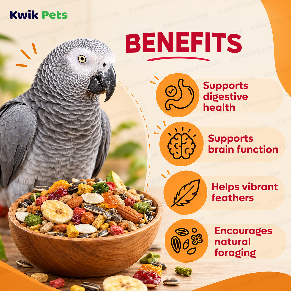 Benefits of Kaytee Fiesta Parrot Food 2.5-lb