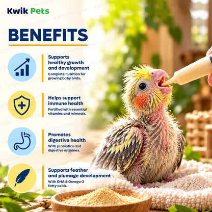 Benefits of Kaytee Exact Handfeeding Formula for Baby Birds 7.5-oz