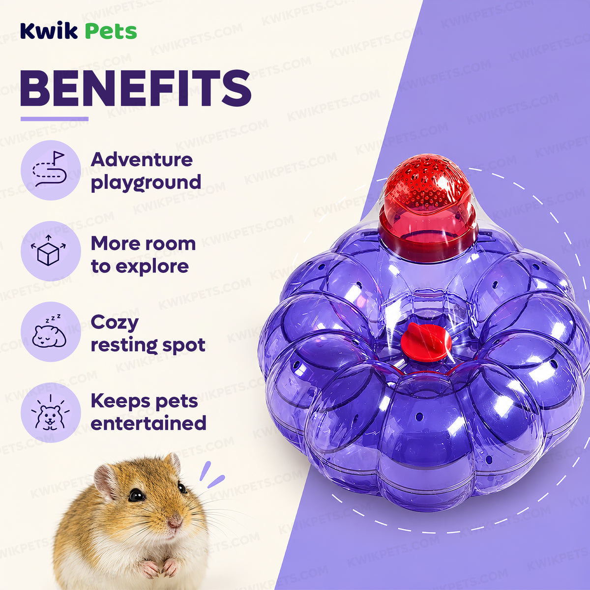 Benefits of Kaytee CritterTrail Add-On Loop-D-Loop 8 in X 8 in X 5 in