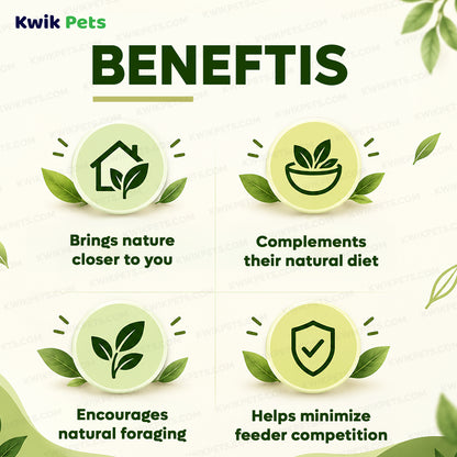 Benefits of Kaytee Backyard Wildlife Blend Food 5-lb