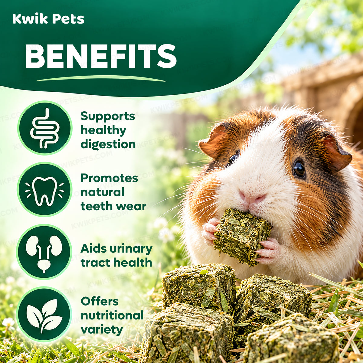 Benefits fo Kaytee Timothy Hay Blend Cubes for Small Animals 1-lb