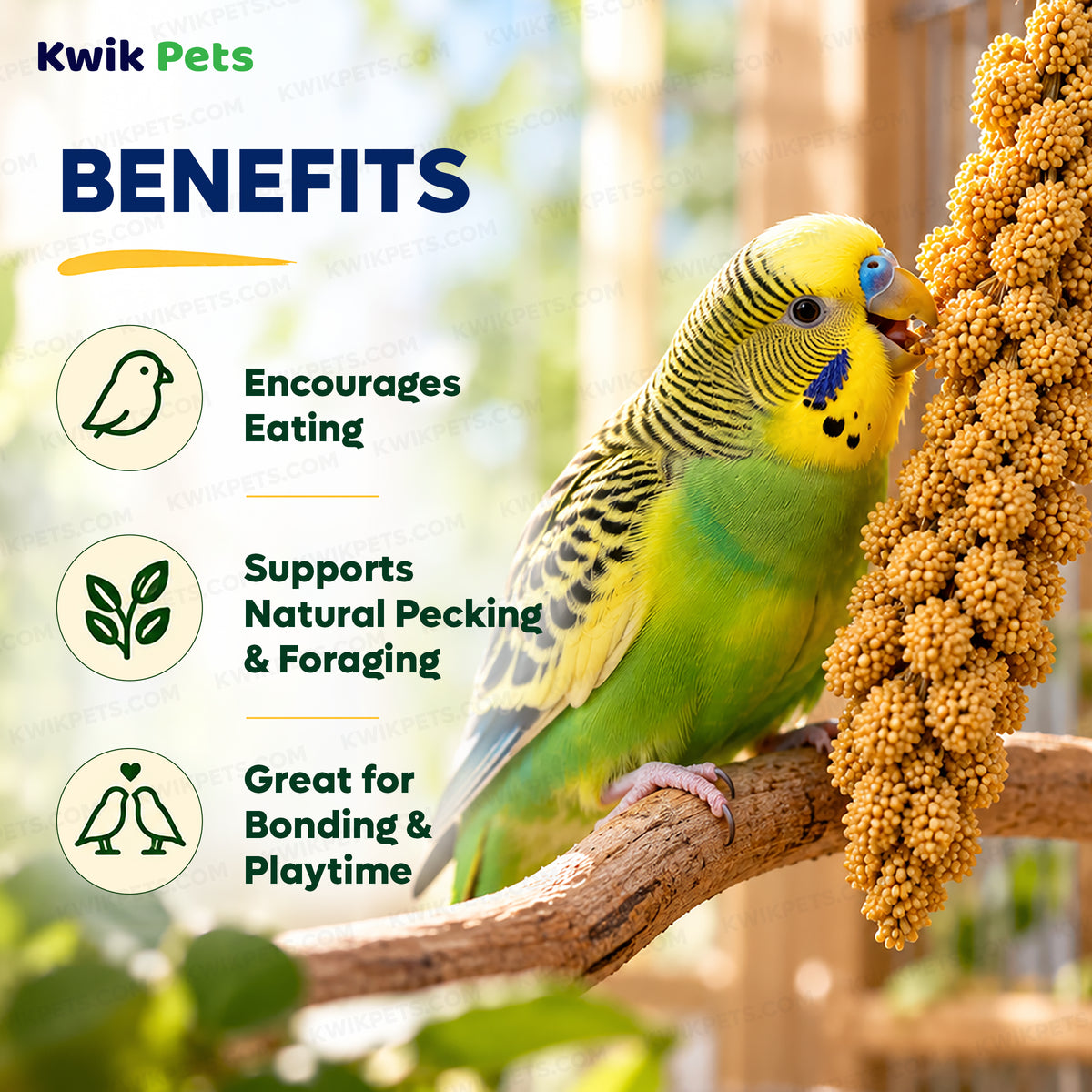 Benefits of Kaytee Natural Spray Millet Bird Treats 12 Count 7-oz