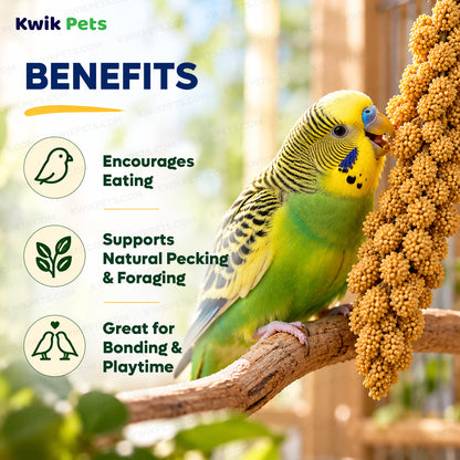 Benefits of Kaytee Natural Spray Millet Bird Treats 12 Count 7-oz