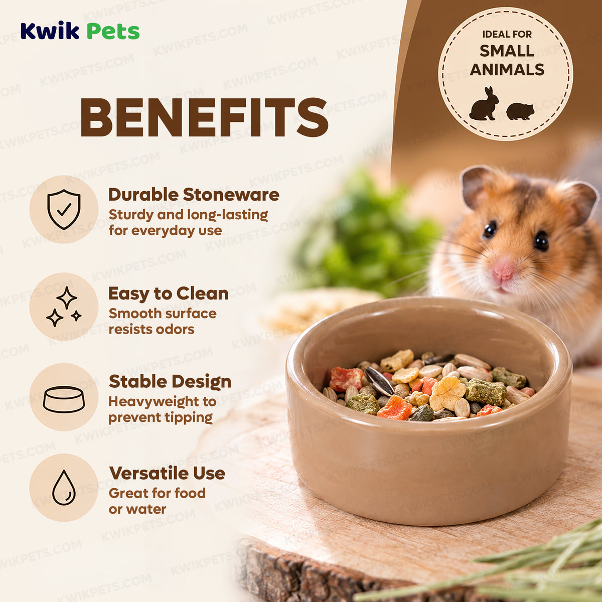 Benefits of Kaytee Stoneware Pet Bowl 3-in