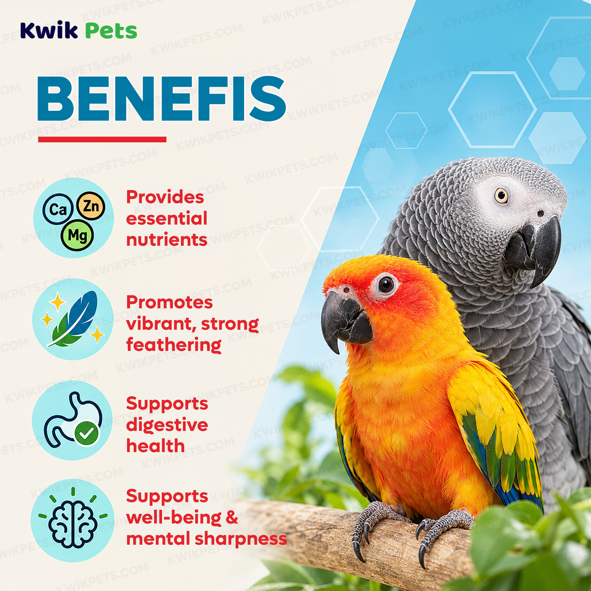 Benefits of Kaytee Exact Rainbow Parrot & Conure Food 4-lb
