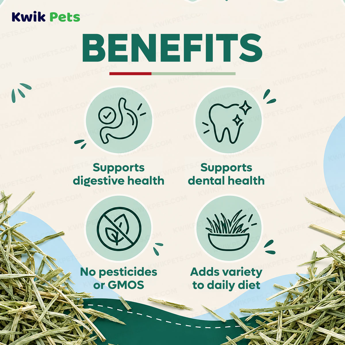 Benefits of Kaytee Orchard Grass Hay for Small Animals 24-oz