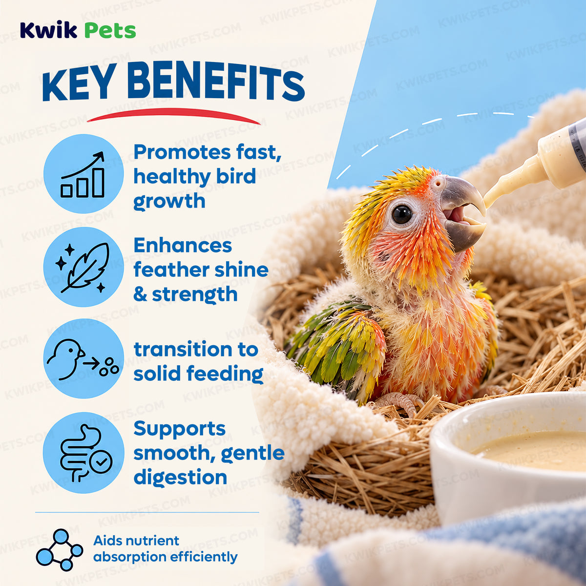Benefits of Kaytee Exact Handfeeding Formula for Baby Birds 18-oz