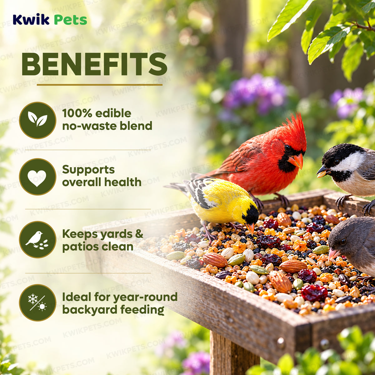 Benefits of Kaytee Ultra Waste Free Nut & Raisin Blend Wild Bird Food 5-lb