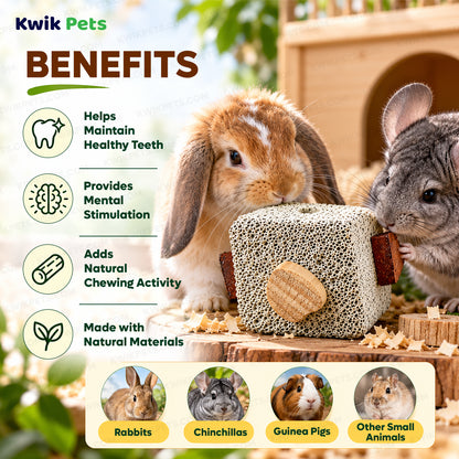 Benefits of Kaytee Lava Block with Wood Chews for Small Animals 2.5 in X 2.5 in X 5 in