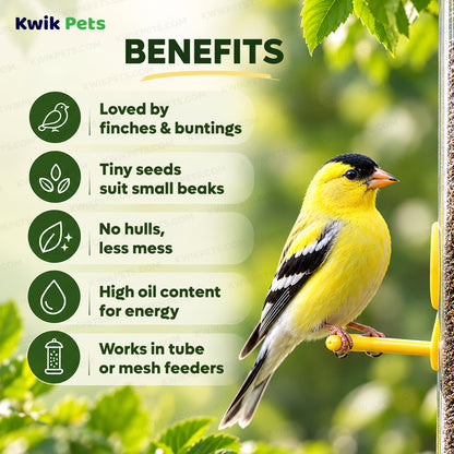 Benefits of Kaytee Nyjer Seed Wild Bird Food 8-lb