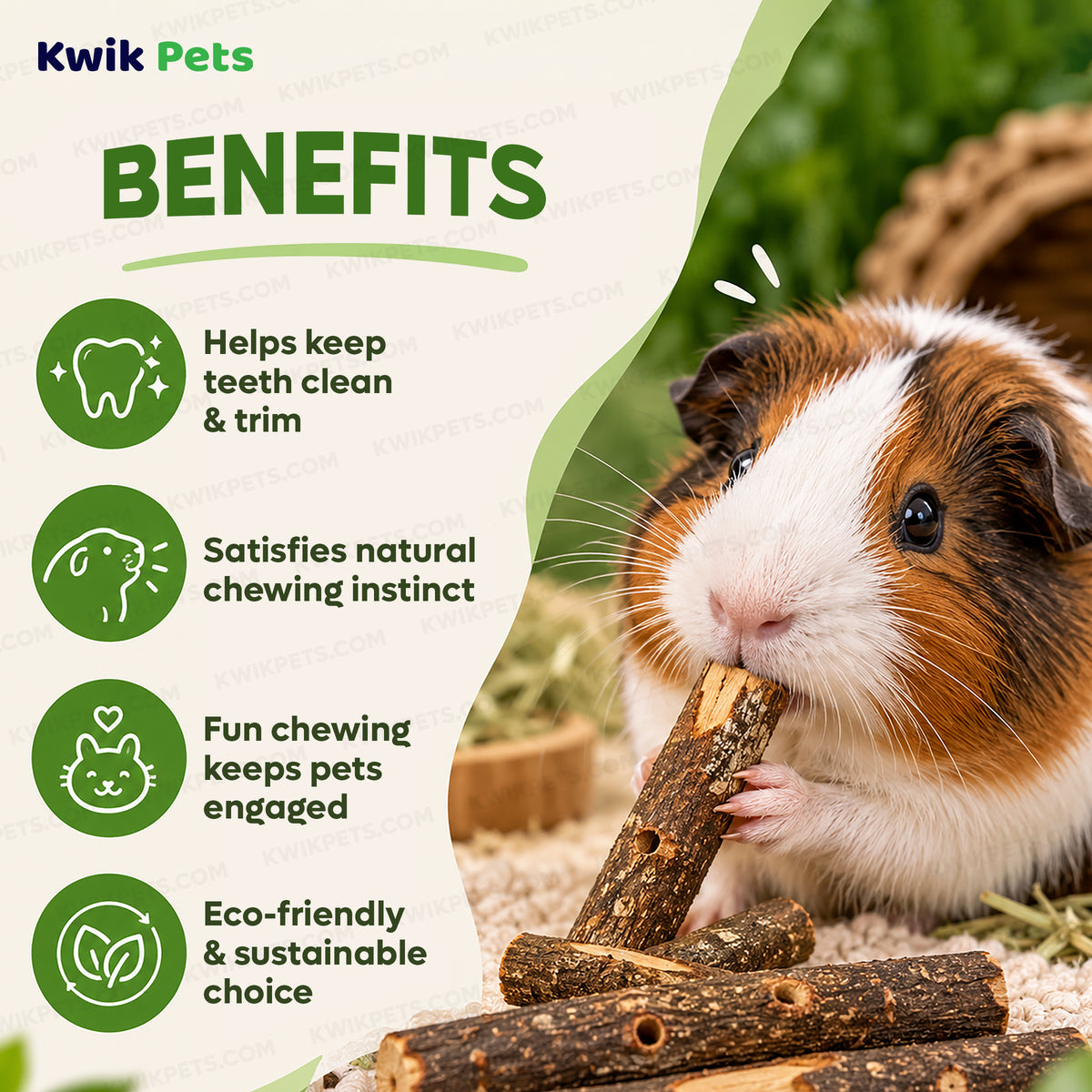 Benefits of Kaytee Apple Orchard Sticks for Small Animals 10 Count