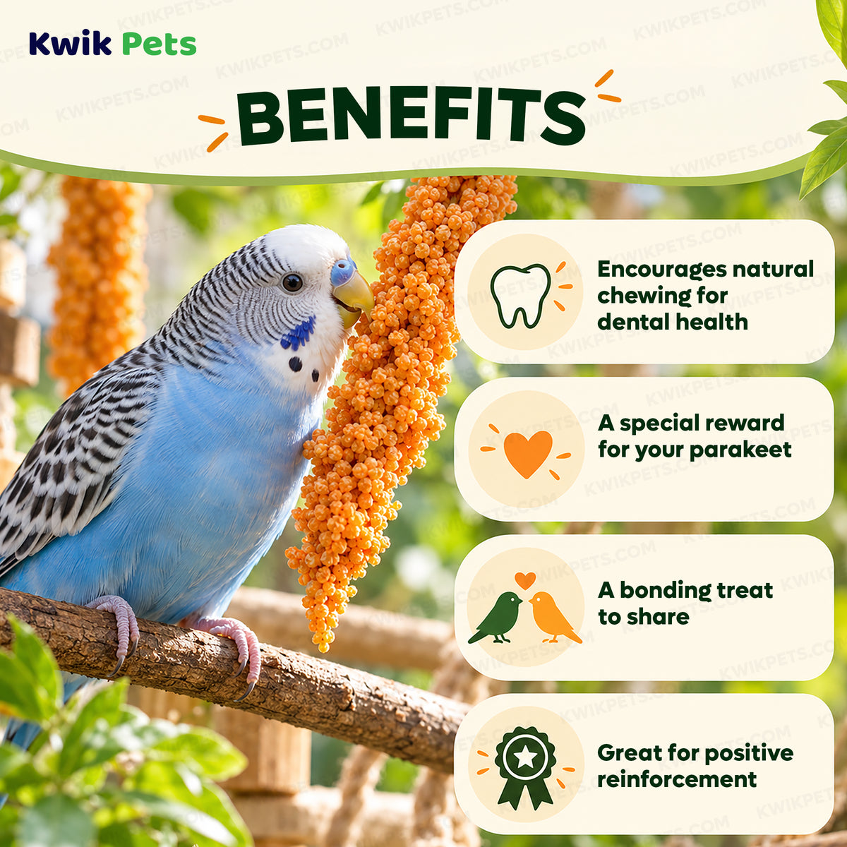 Benefits of Kaytee Orange Flavored Parakeet Bird Treat 10-oz