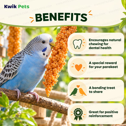 Benefits of Kaytee Orange Flavored Parakeet Bird Treat 10-oz