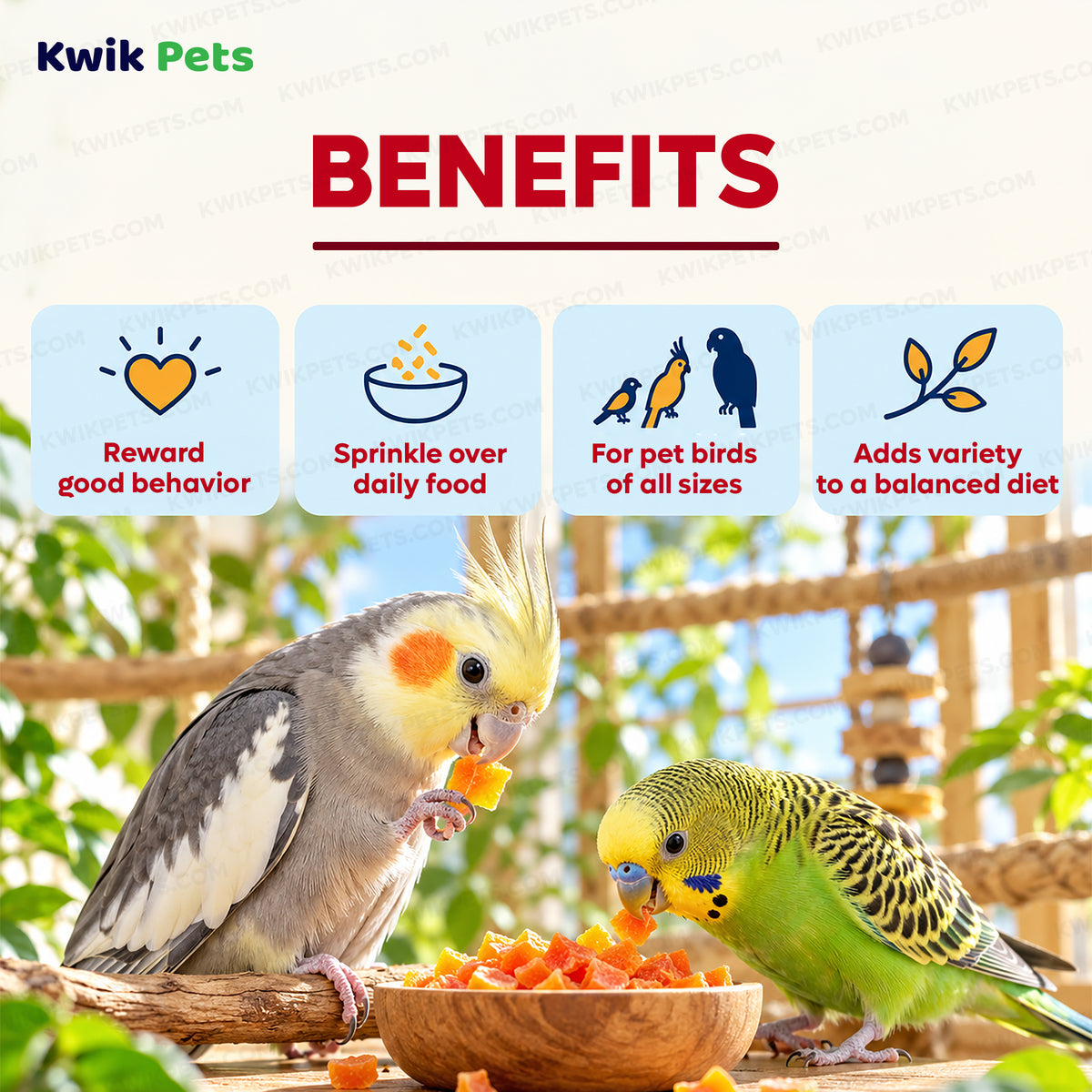 Benefits of Kaytee Healthy Toppings Papaya Bits for All Pet Birds 2.5-oz