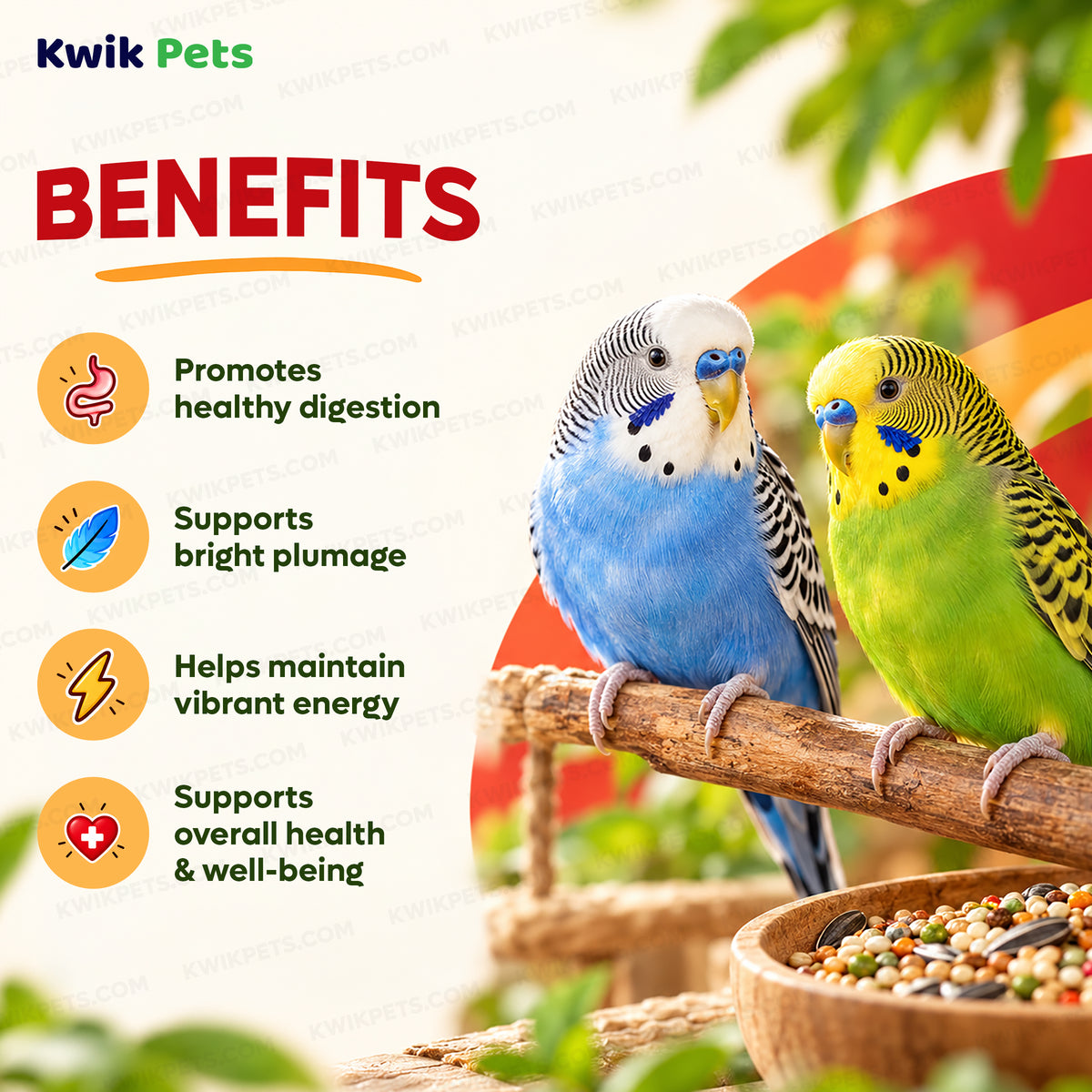 Benefits of Kaytee Fiesta Parakeet Food 2-lb